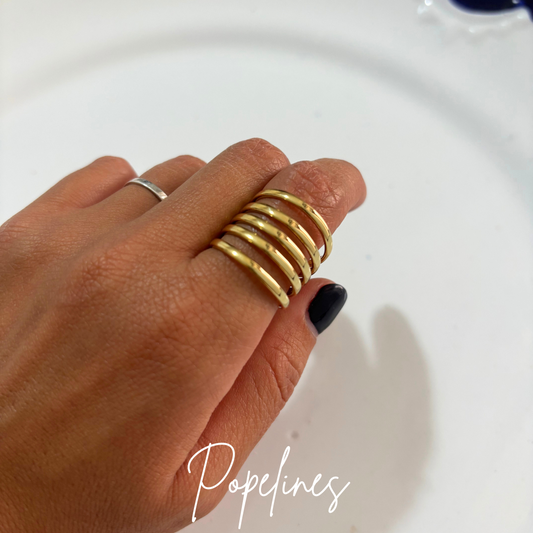 Anillo Oriente
